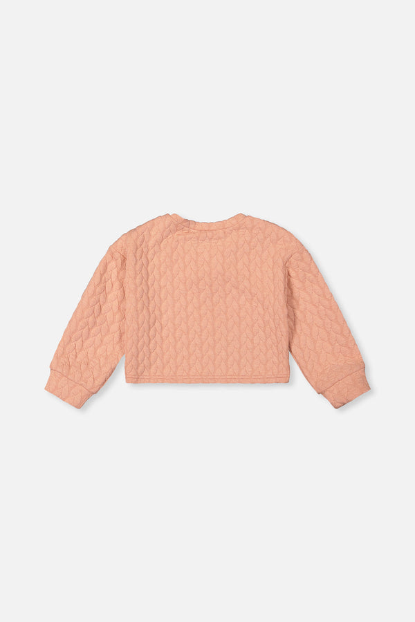 Jacquard Sweatshirt Pink - J20YG32_08100