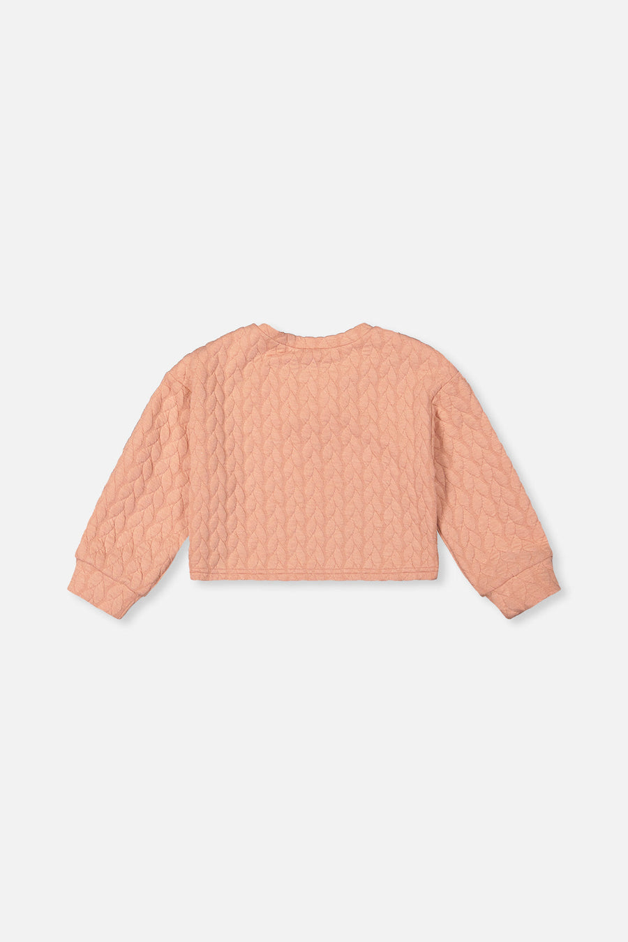 Jacquard Sweatshirt Pink - J20YG32_08100