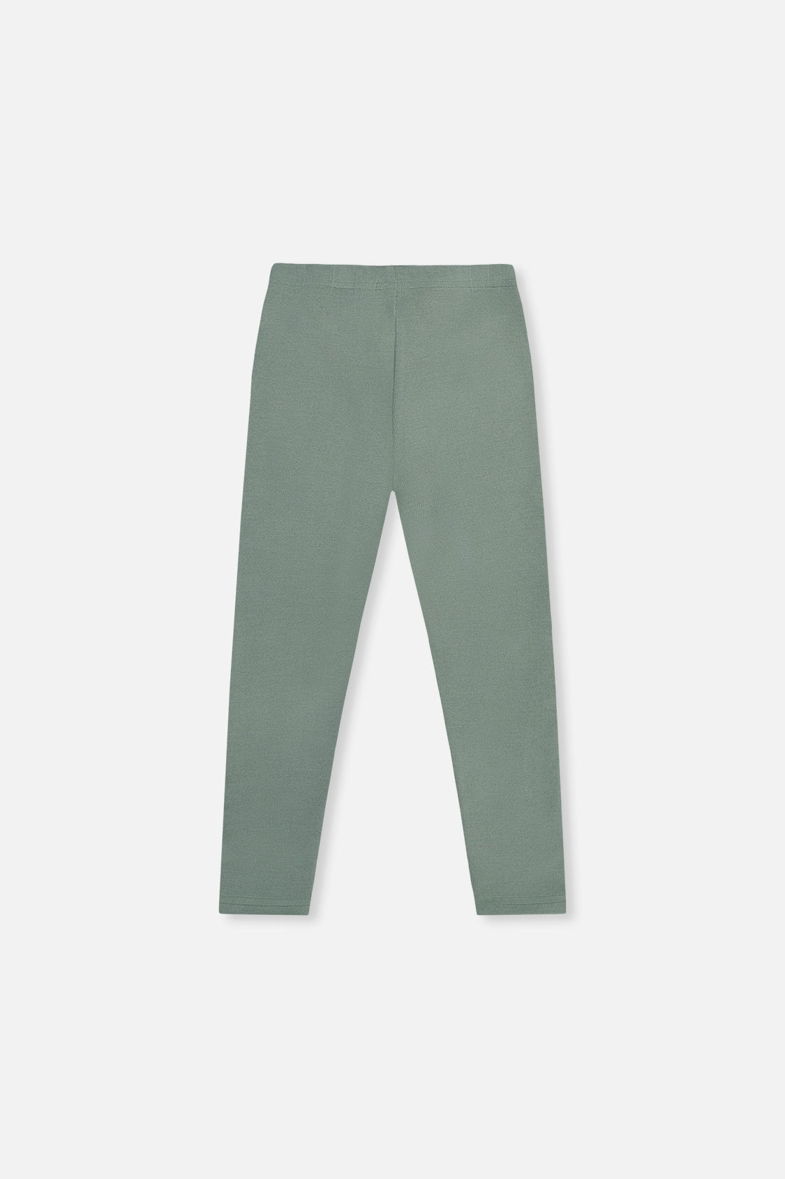 Rib Leggings Green Printed Green - J20YG60_03992