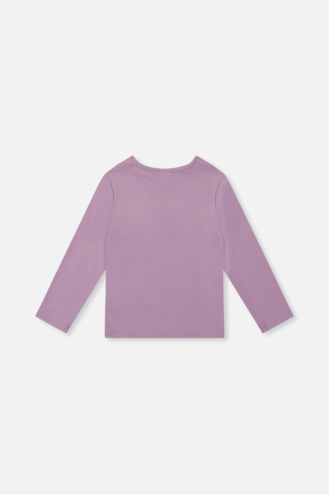 Brushed Rib Crew Neck Top Violet - J20YG72_05470