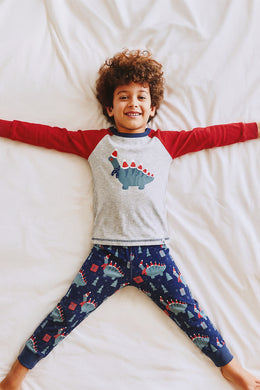 Organic Cotton Two Piece Pajama Set Blue Dinosaur Print