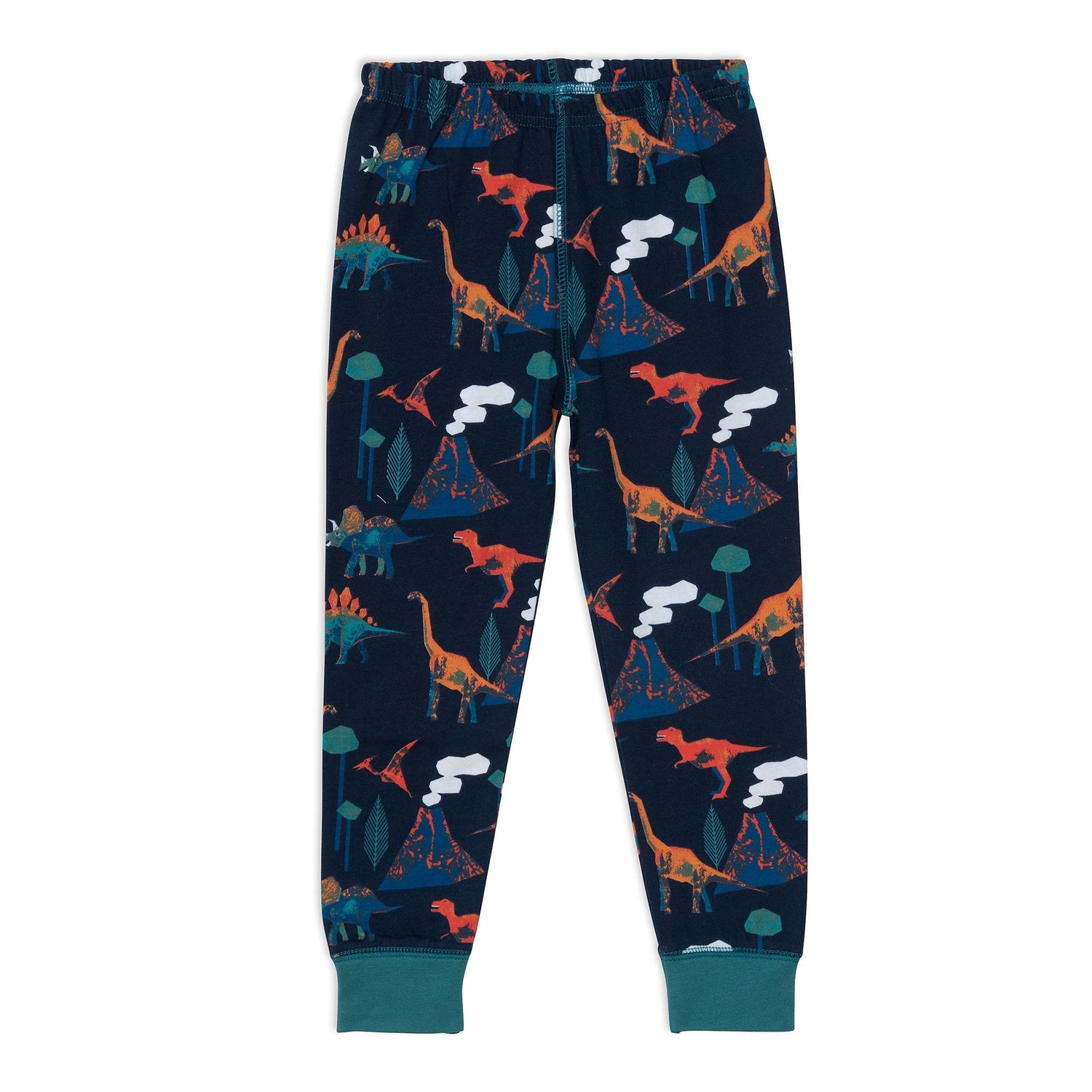 Organic Cotton Two Piece Pajama Set With Dinosaur Print E20PB13_031