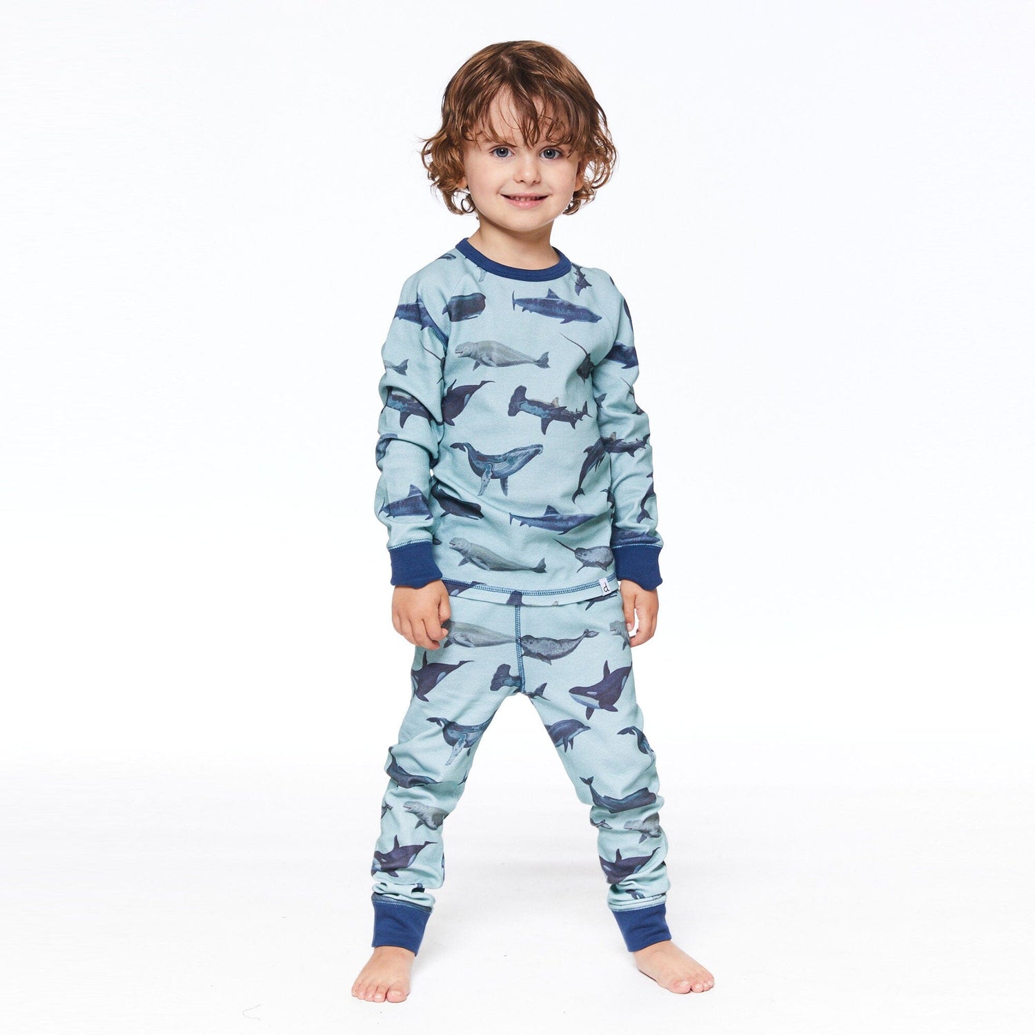 Organic Cotton Two Piece Printed Pajama Set Blue Sharks & Whales - E30PB10_039